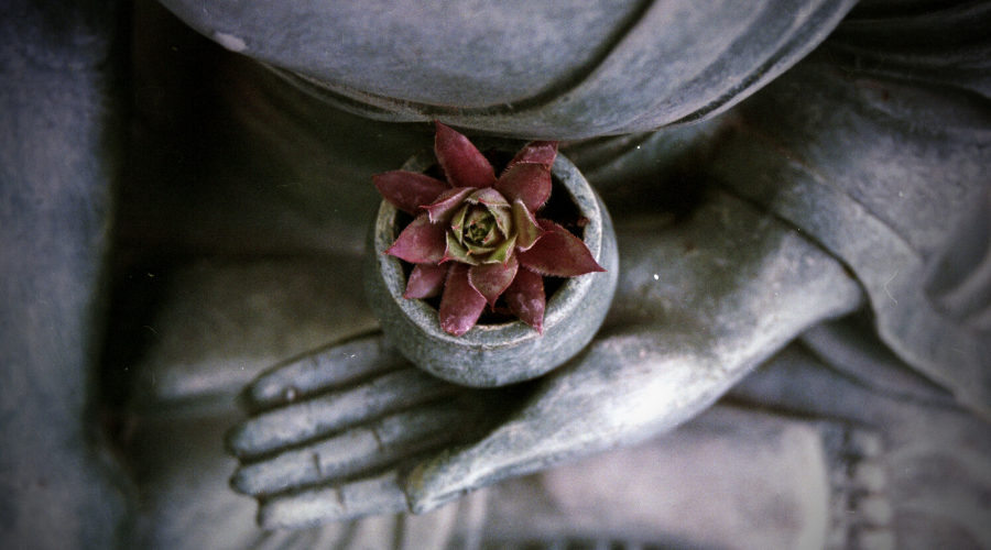 Episodio 9 Meditación Cómo Aprender a Meditar