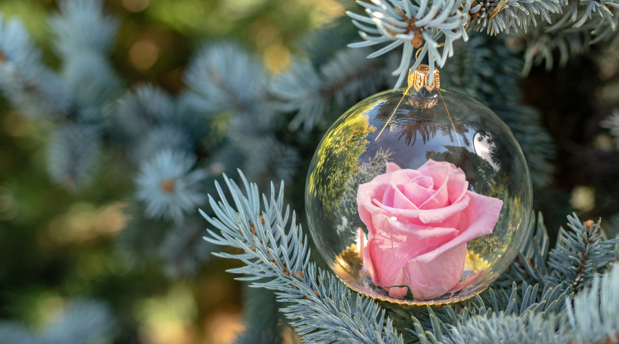 Cómo Vivir una Vida Plena