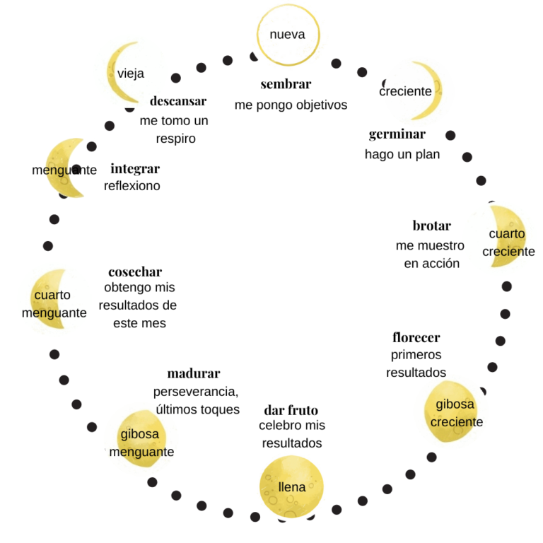 Productividad Cíclica Lunar