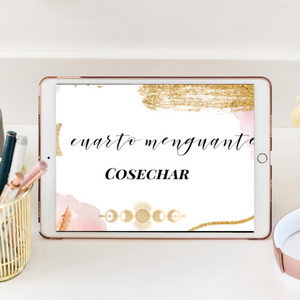 Agendita planificador mensual videos diarios